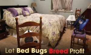 bed bugs breed profit.
