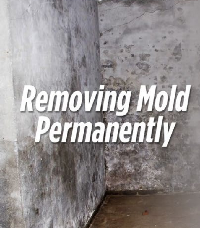 Removing Mold Permanently